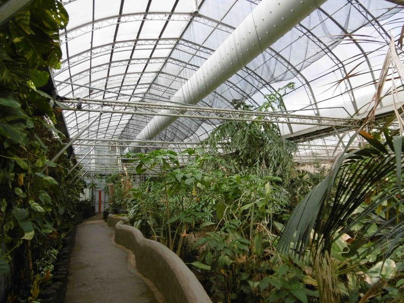 Tropical World in Leeds